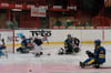 USA-SWE1