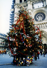 2003.12.18 ノートルダム寺院前のクリスマスツリー 2003.12.18 ノートルダム寺院前のクリスマスツリー