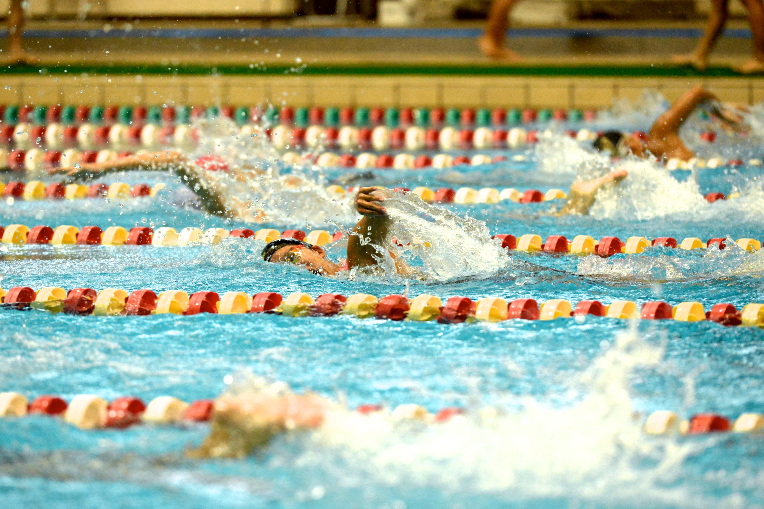 神戸から 募集中 あなたの町でipc公認 市民水泳大会を開催しませんか Paraphoto