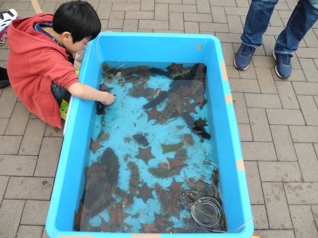 海底から引き上げられた生物たち