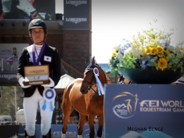 Tomoko Nakamura &DJazz F-Bronze GV Freestyle WEG 2018 (Photo: Meghan Benge)