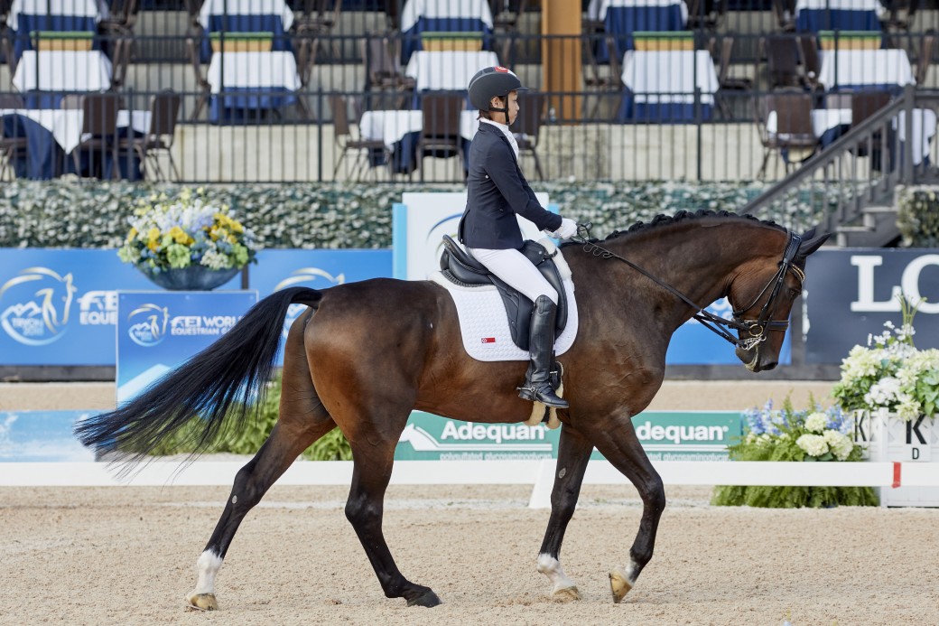 WEG2018 Individual