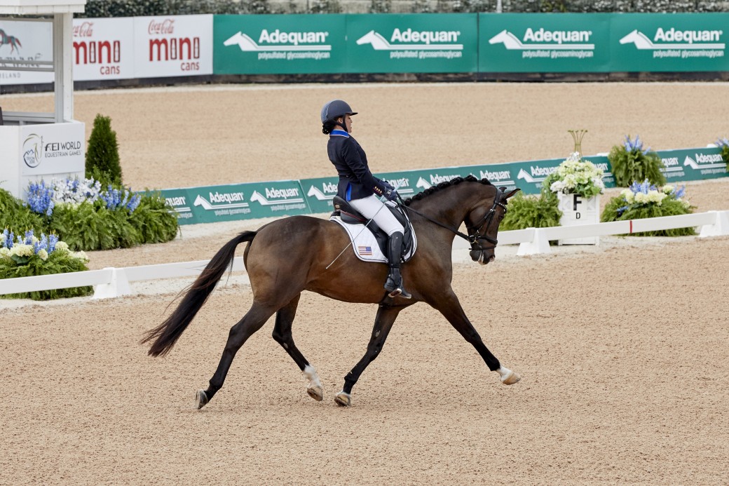 WEG2018 Individual