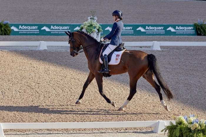 FEI World Equestrian Games™ Tryon USA Rixt van der Horst on Findsley NED （Photo FEI/Liz Gregg）