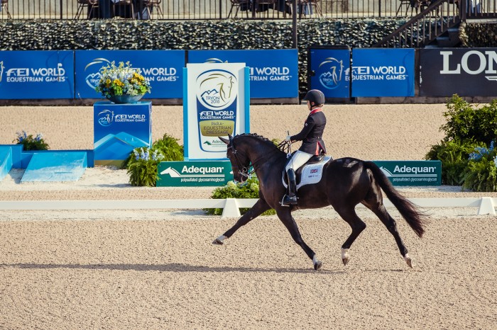 EI World Equestrian Games™ Tryon Sophie WELLS Sophie ride C Fatal Attraction-GBR （Photo FEI Christophe Tanière）