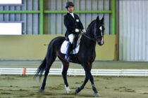 ２１日　フリースタイルテスト
グレードⅢ　稲葉 将＆ピエノ　