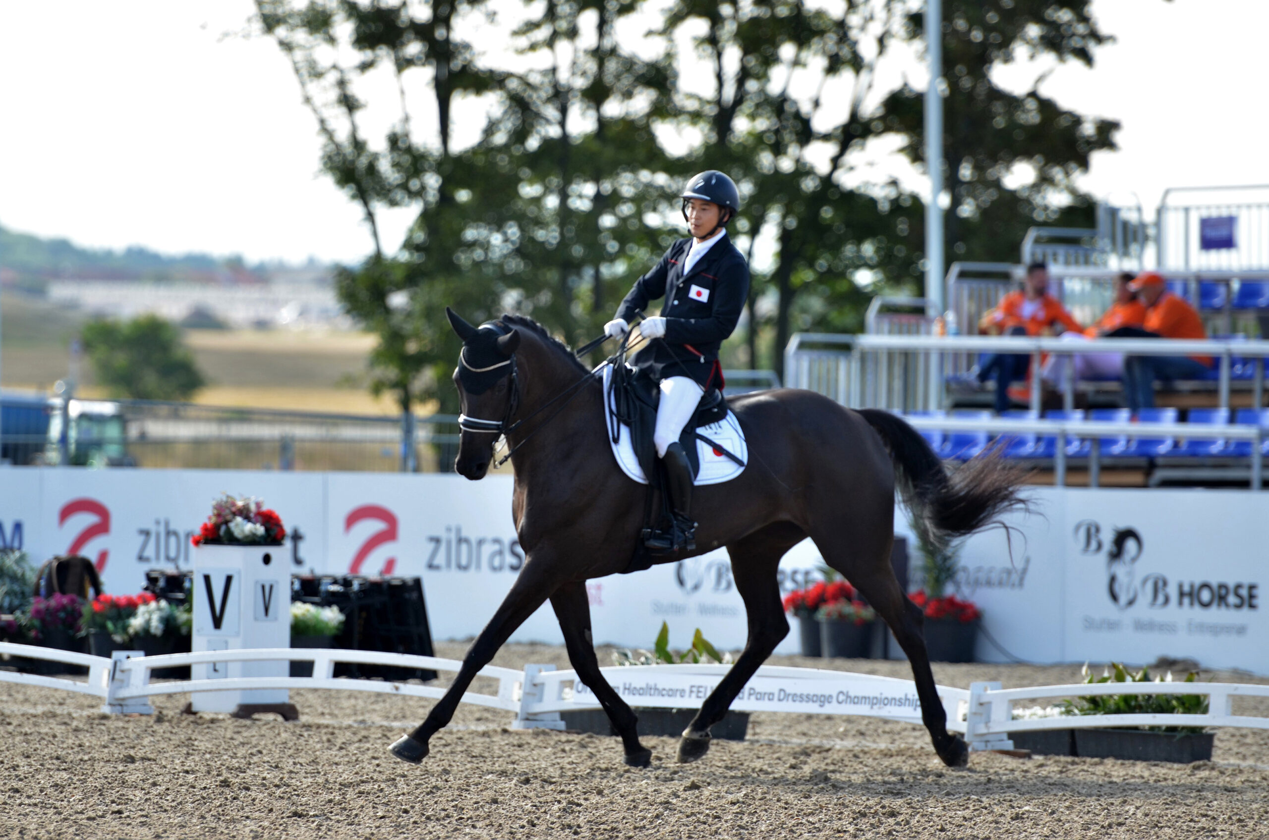 Herning馬術世界選手権：パラ馬術グレードI、II、IV個人競技メダルが