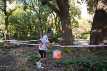 16 Nov, Tokyo 2025 Deaflympics orienteering sprint-relay