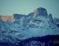 【ミラコル記】（第5話）学校もスポーツも、ともにインクルーシブ社会を育むために、オンライン対談