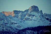 【ミラコル記】（第5話）学校もスポーツも、ともにインクルーシブ社会を育むために、オンライン対談