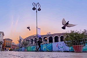 写真アルバムを見る